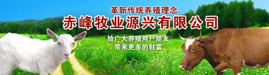 竹材,竹板材工程案例